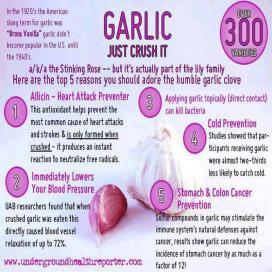 5-health-benefits-of-garlic